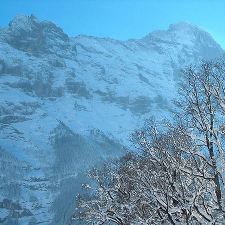 Hotel Gletschergarten Grindelwald Exterior photo