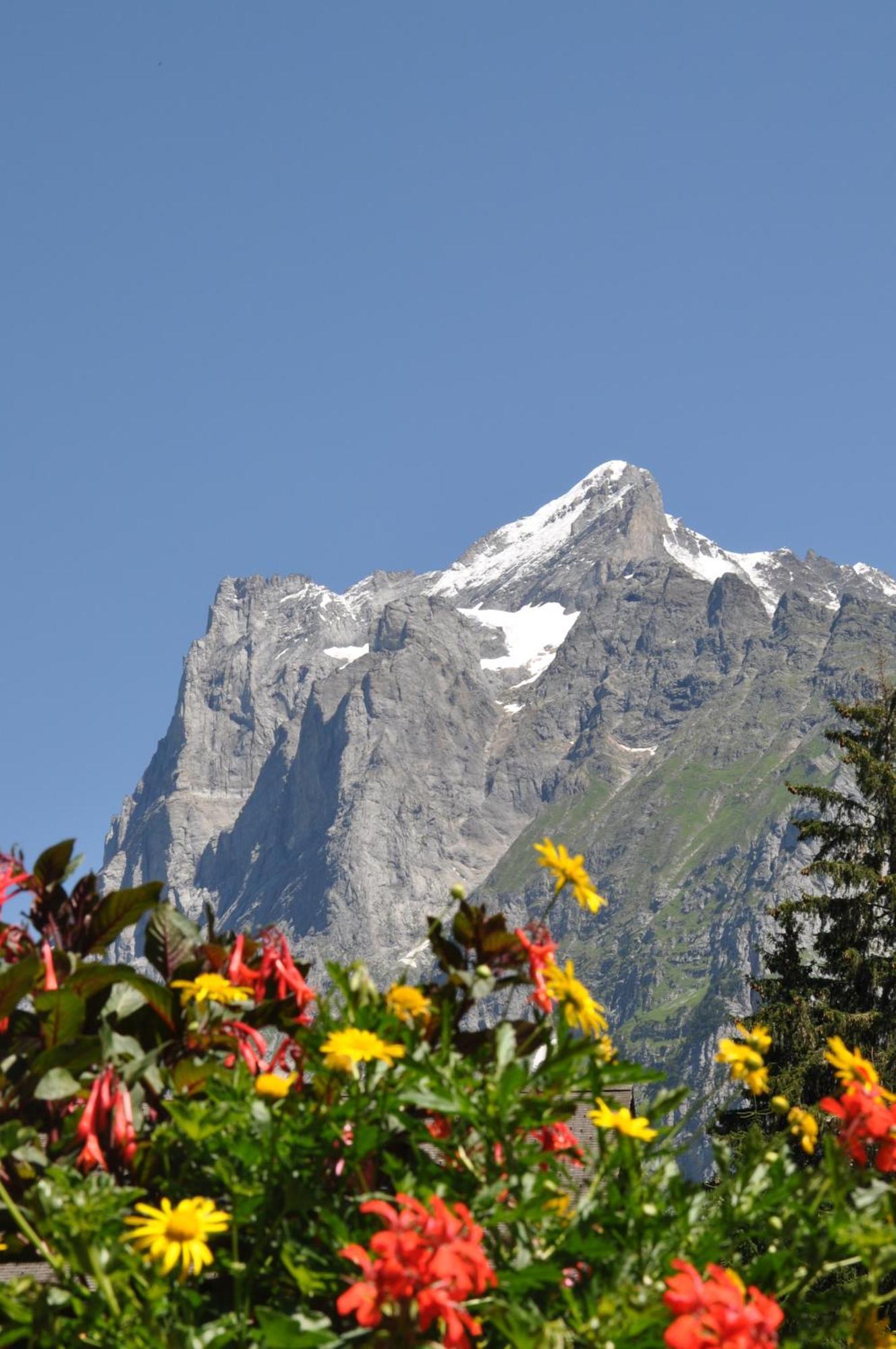 Hotel Gletschergarten Grindelwald Exterior photo